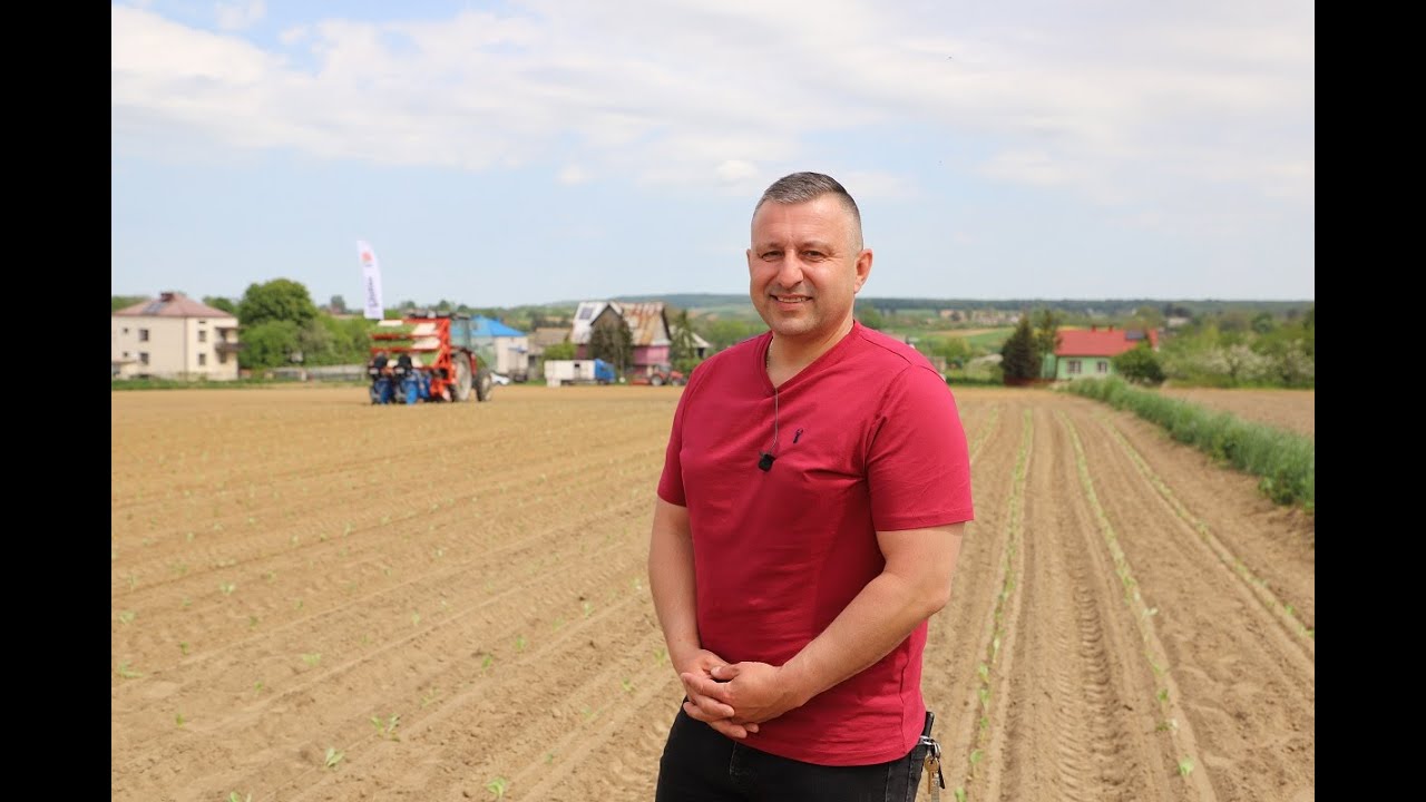 Skuteczna ochrona w kapuście - zalecenia Innvigo