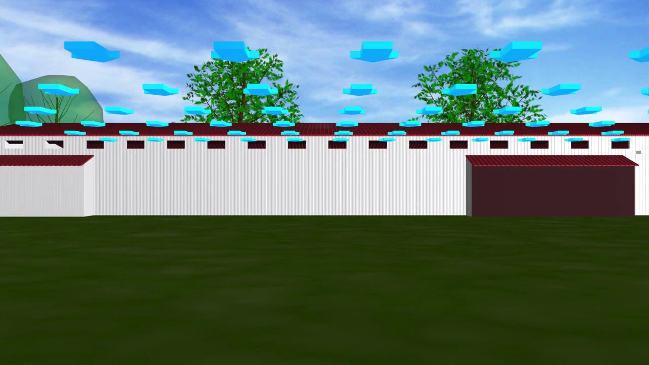 Poultry Farming | H type fully automatic layer breeding system | Ventilation system