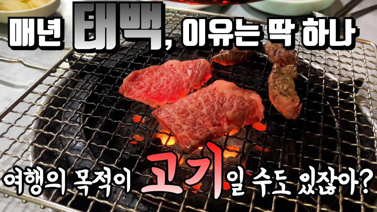 [태백 현지인 맛집 투어] 태백 현지인이 가는 한우구이, 태백 노포 중국집, 태백 가성비 백반 & 아침식사 | 내돈내산 맛집여행 태백 차박 VLOG | 270