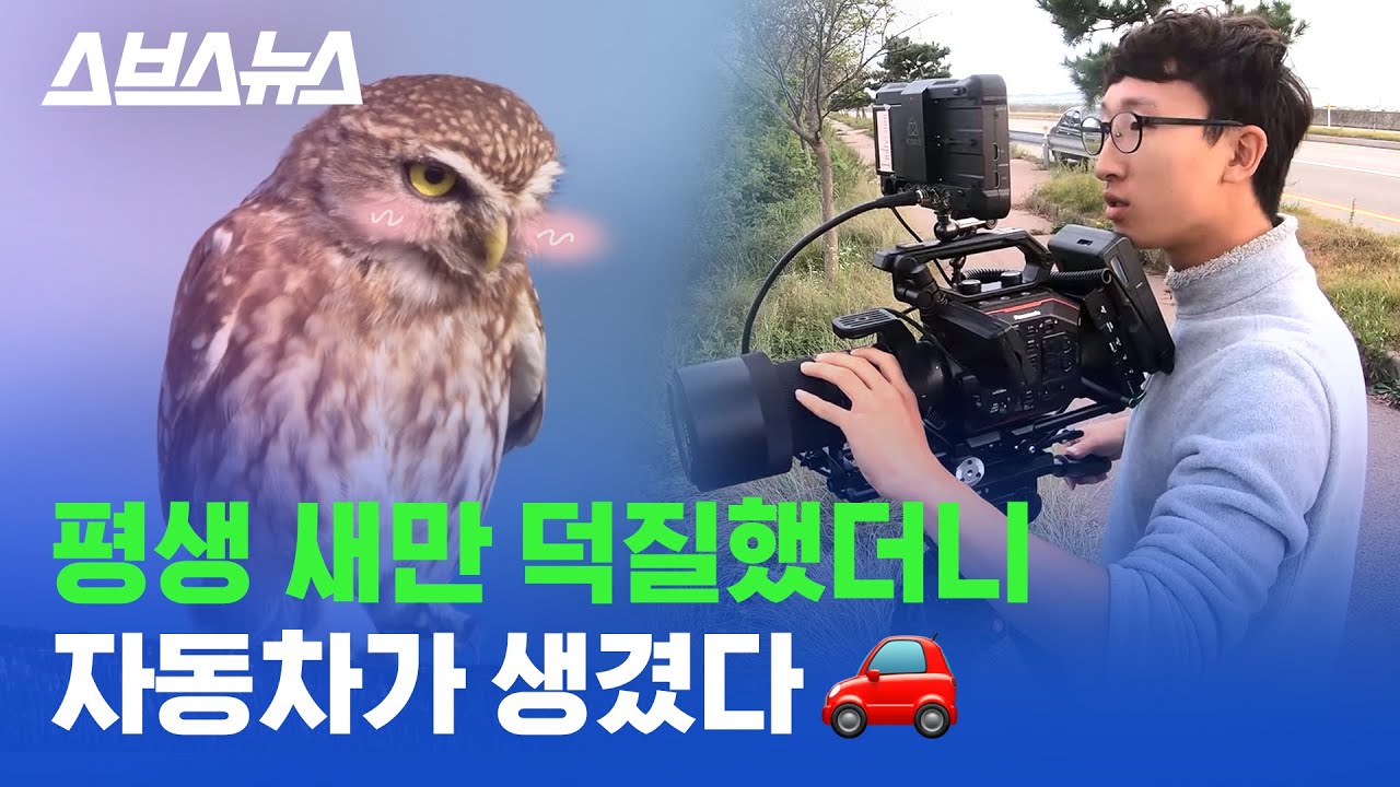 초고퀄 새덕질 영상 찍다 기업 대표님께 연락 받은 사연 (feat.새덕후)  / 스브스뉴스