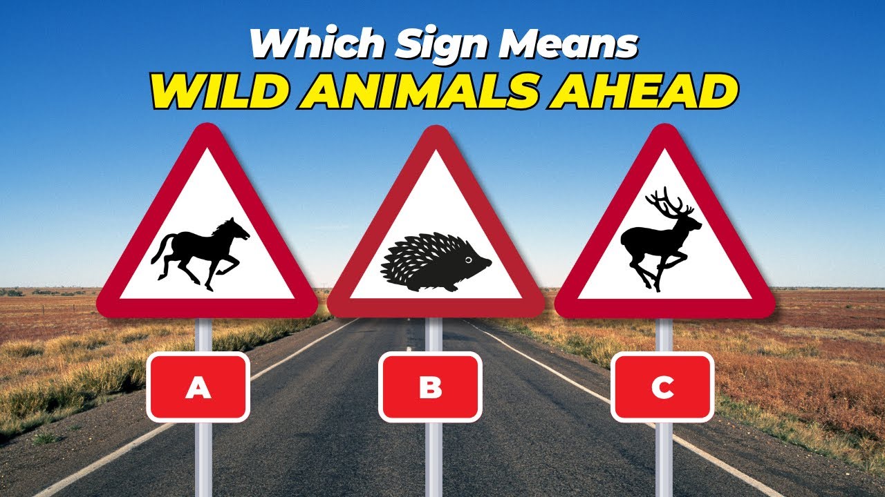 Can You Pass This UK Road Signs Quiz? | UK Road Signs Theory Test 🚦