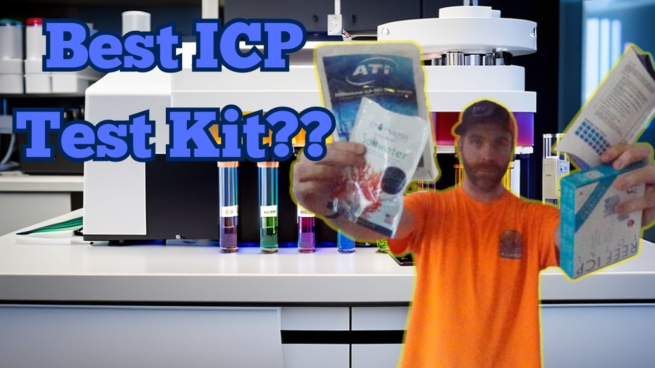 Unveiling 4 Essential ICP Tests for Reefers