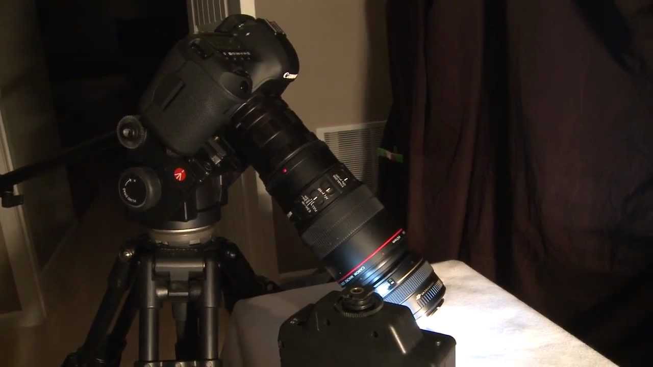 Canon Macro Reverse Ring and Extension tube set up.