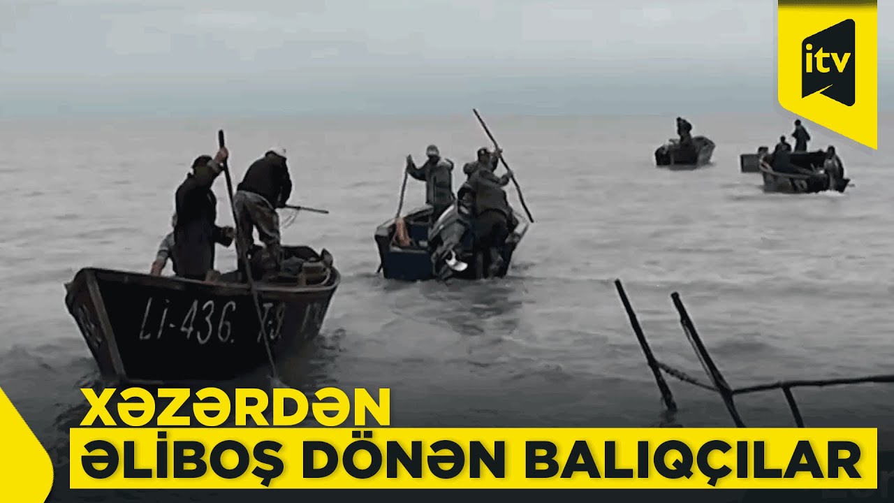 Balıqlar yoxa çıxır, qiymətlər artır - Xəzərin acı reallığı