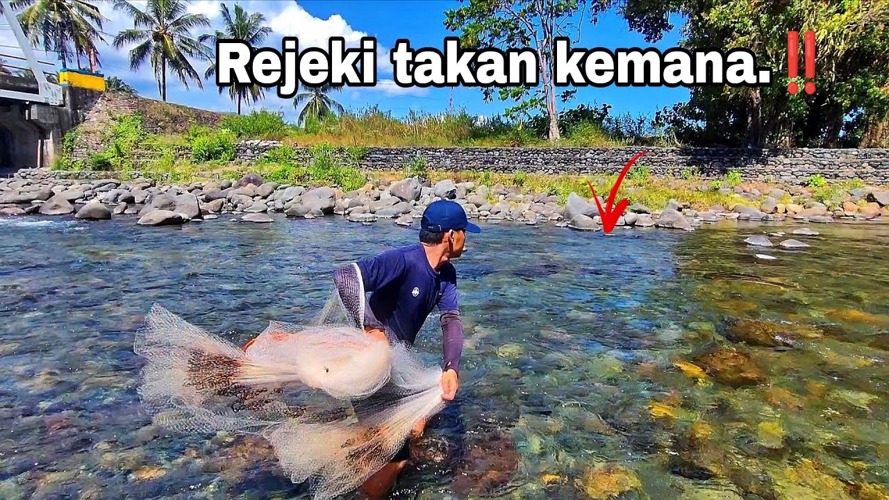 JARANG DI JALA ORANG, MAKANYA IKANNYA MASIH BANYAK.‼️ Amazing fishing videos