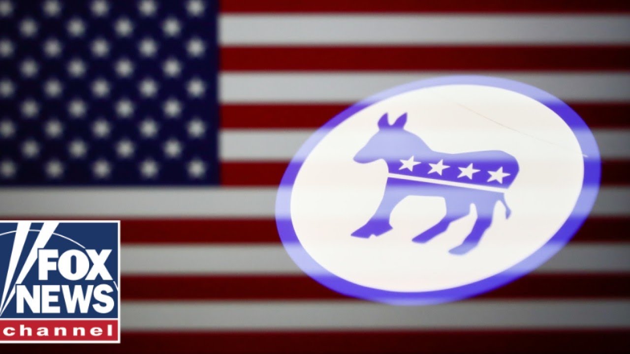 The Democratic Party suffers from a form of 'nihilism,' strategist says