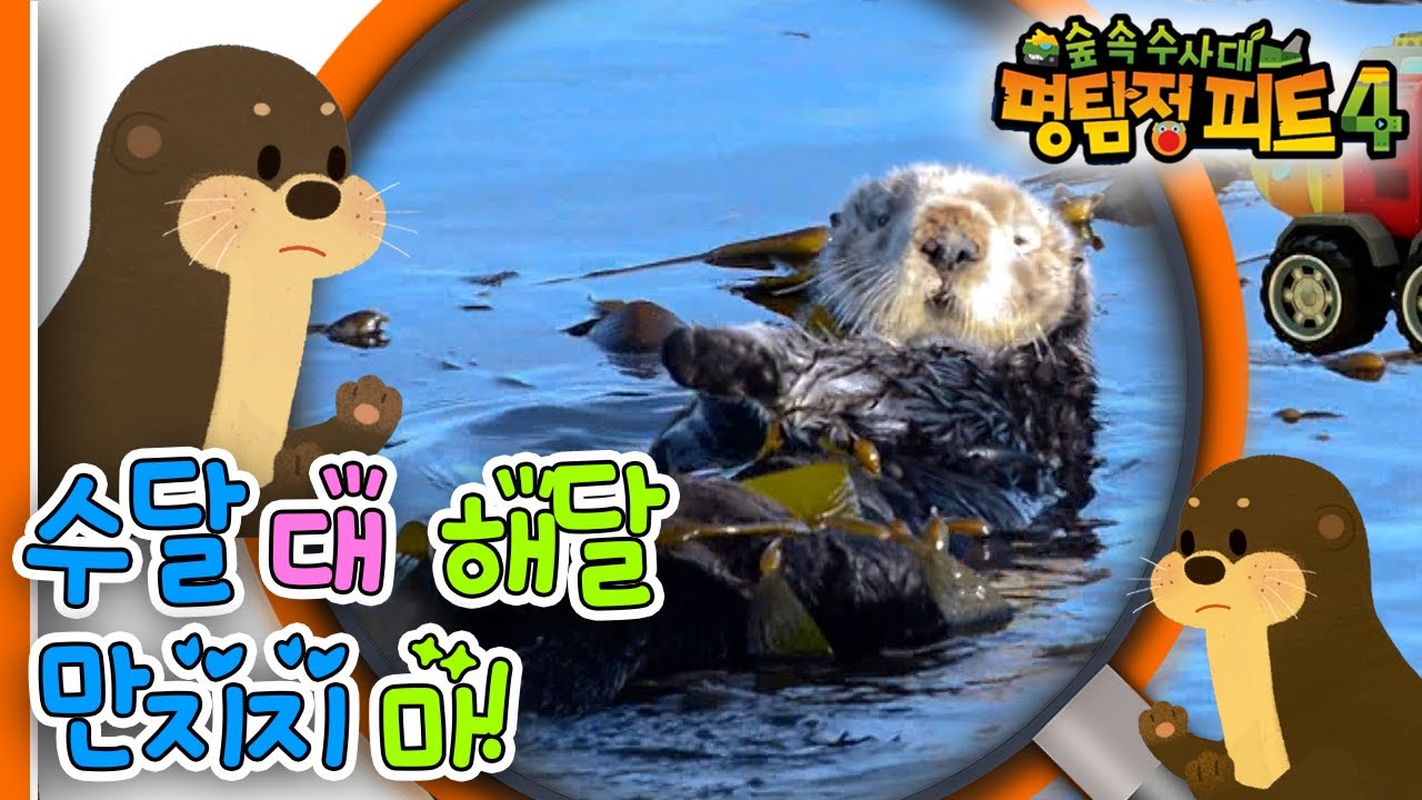 [EBS놀이터] 명탐정 피트4🔎｜수달 대 해달🦦｜만지지 마!⚔️｜숲 속 수사대｜동물｜식물｜곤충｜애니메이션