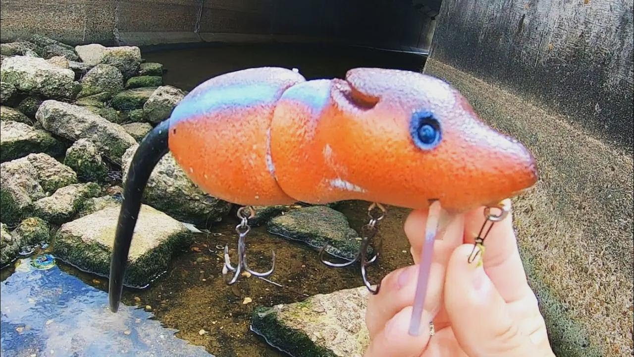Pescando monstros com uma isca de esquilo gigante!