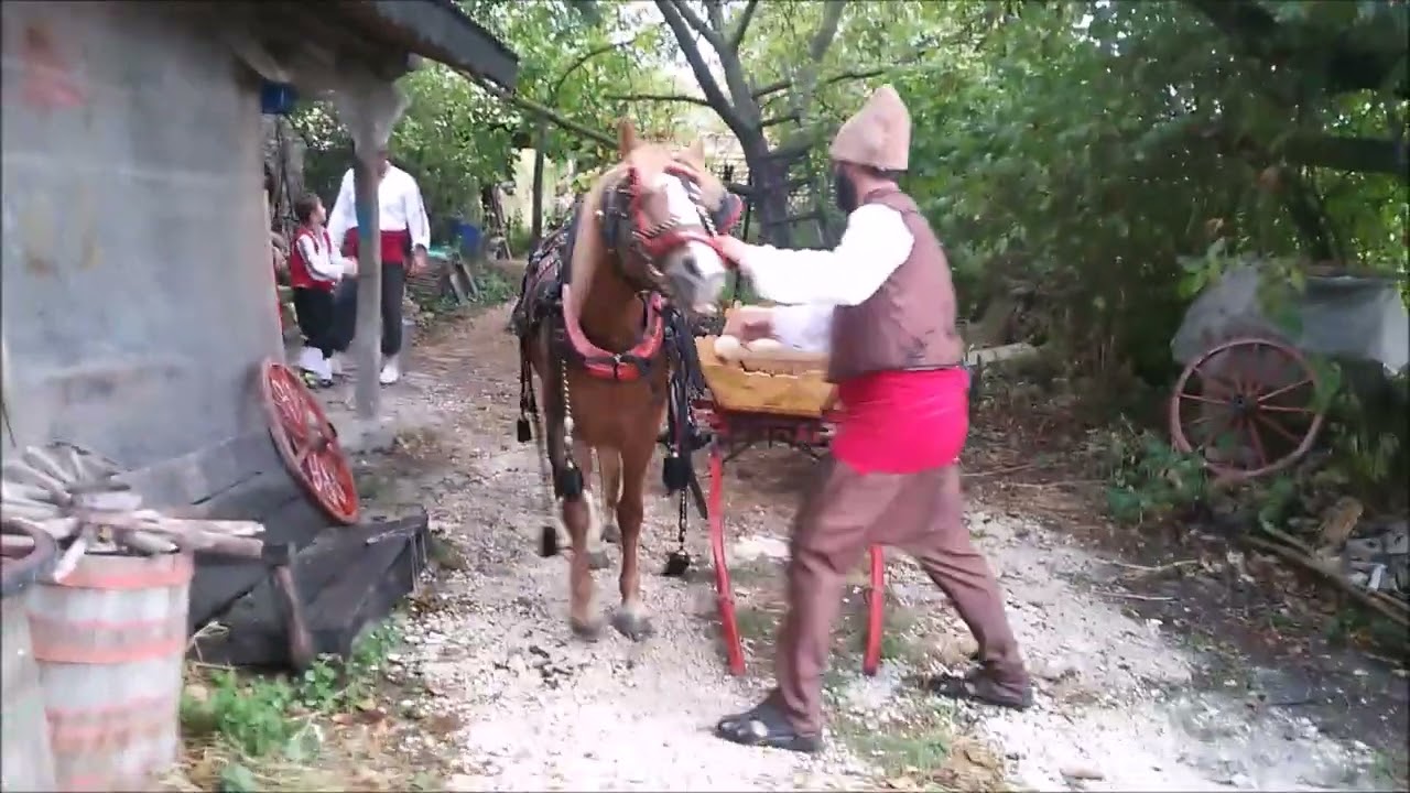 Разходка с каруца