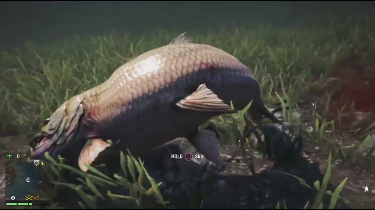 FarCry 4 Pt 12