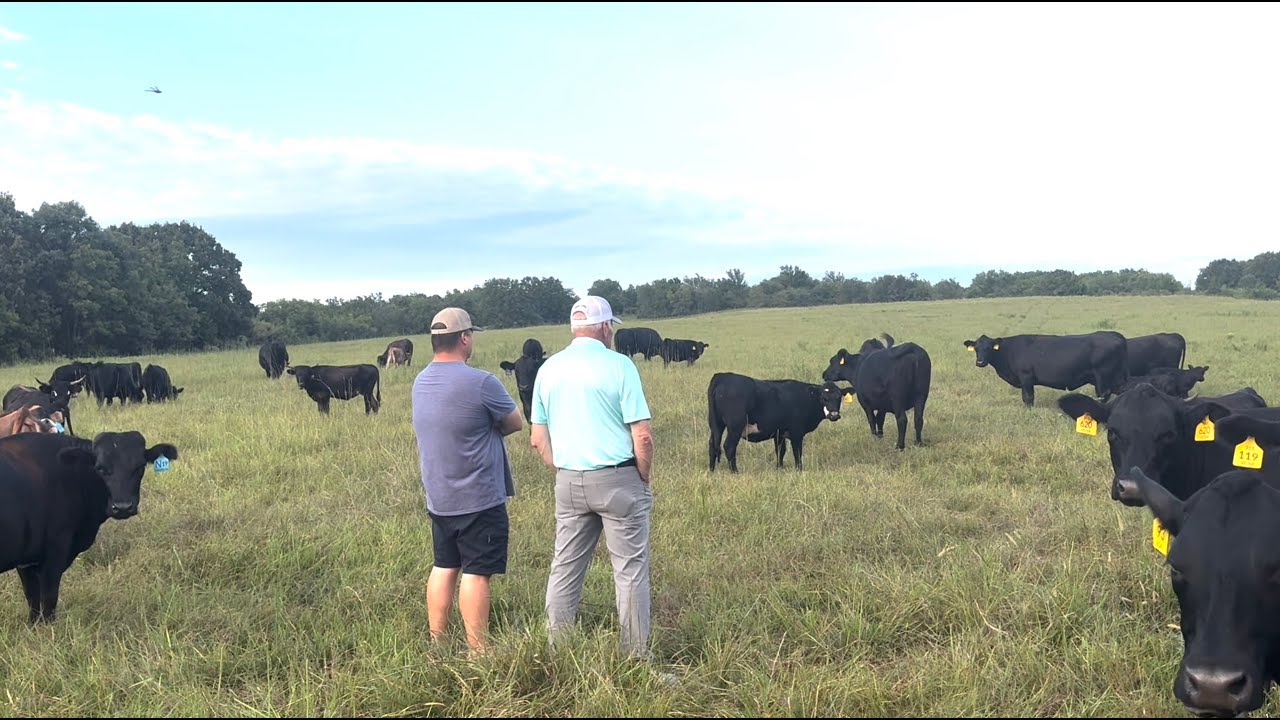 Herd Quitter® Minute - One Step At A Time