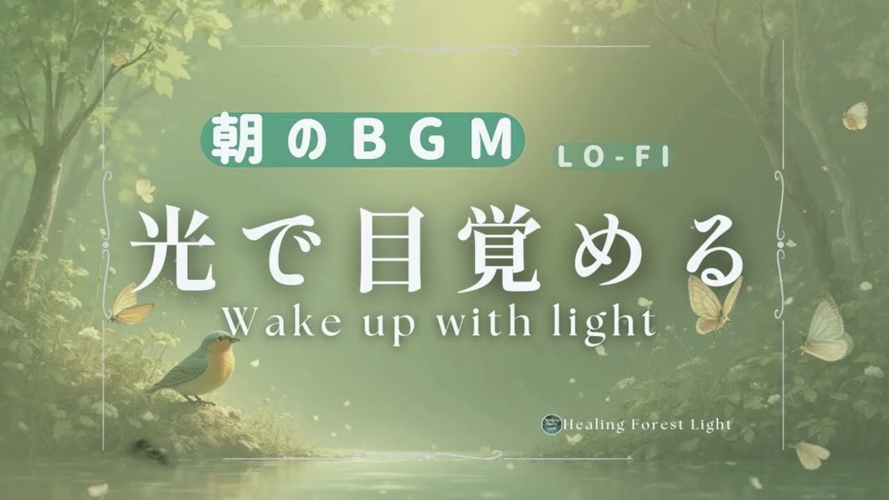 余裕がない朝に｜森×光のヒーリングlo-fi