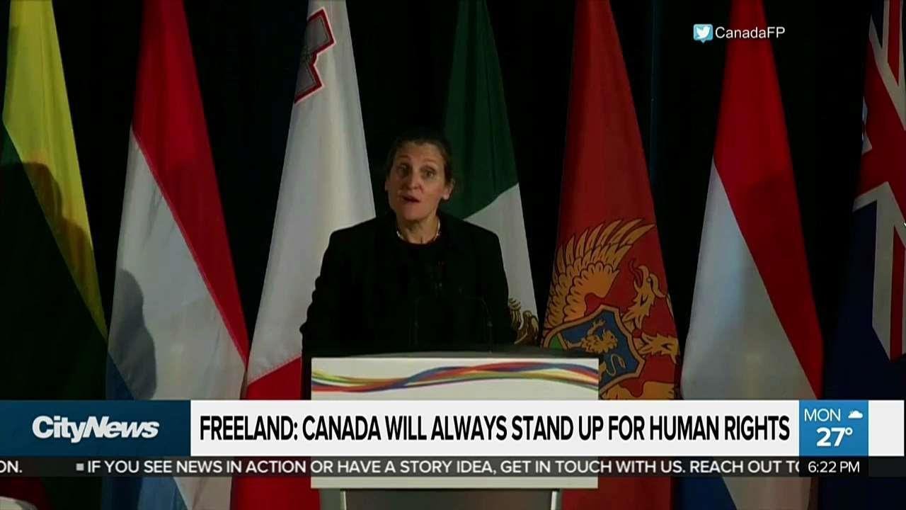 Canadian ambassador expelled over human rights spat with Saudi Arabia