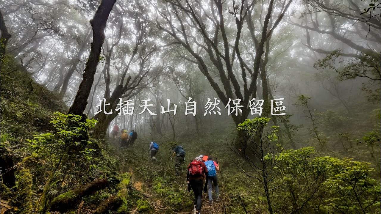 北插天山自然保留區登山健行2025 05 17   4K