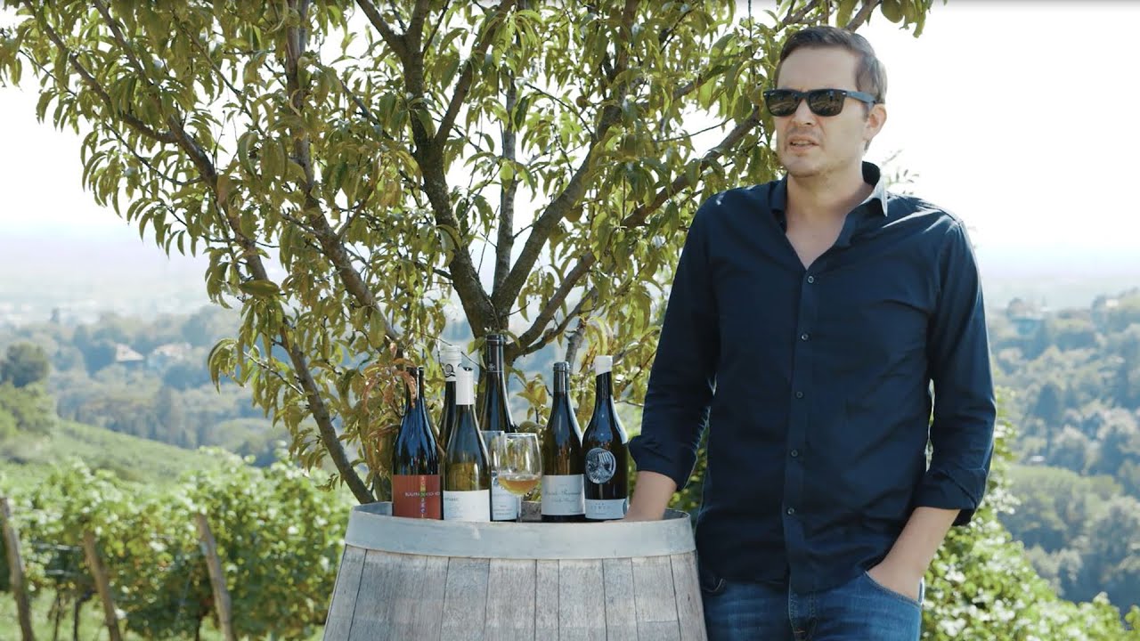 Agora Vino, der Weinhandel aus &Ouml;sterreich - Querkochen