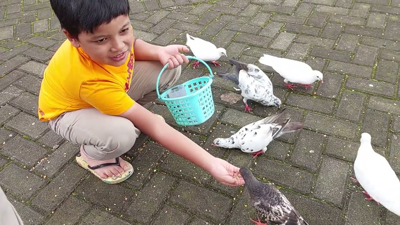 Habibi dan Hanan memberi makan rusa dan burung dara di Little Ranch Umbul Mukti Ungaran Semarang. 