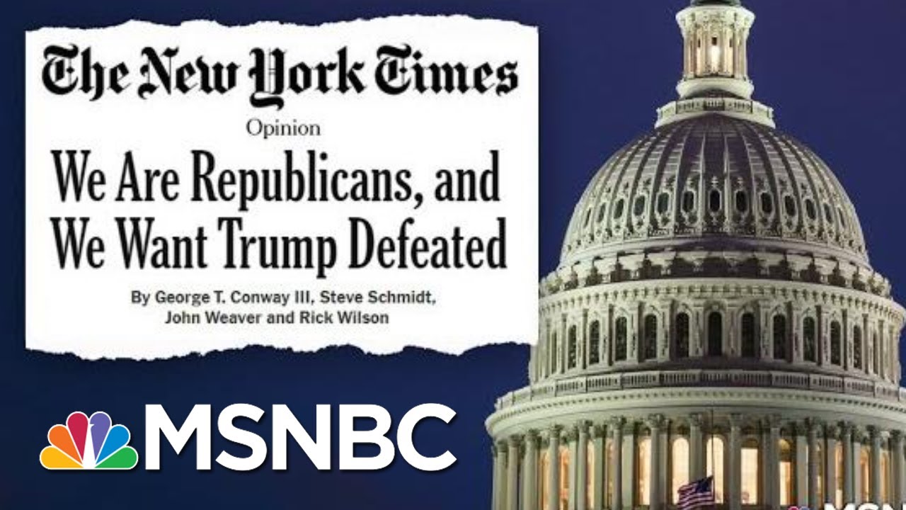 Republican Strategists Using Their Methods To Defeat The Republican President | Deadline | MSNBC