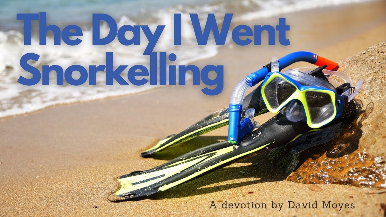 The Day I Went Snorkelling