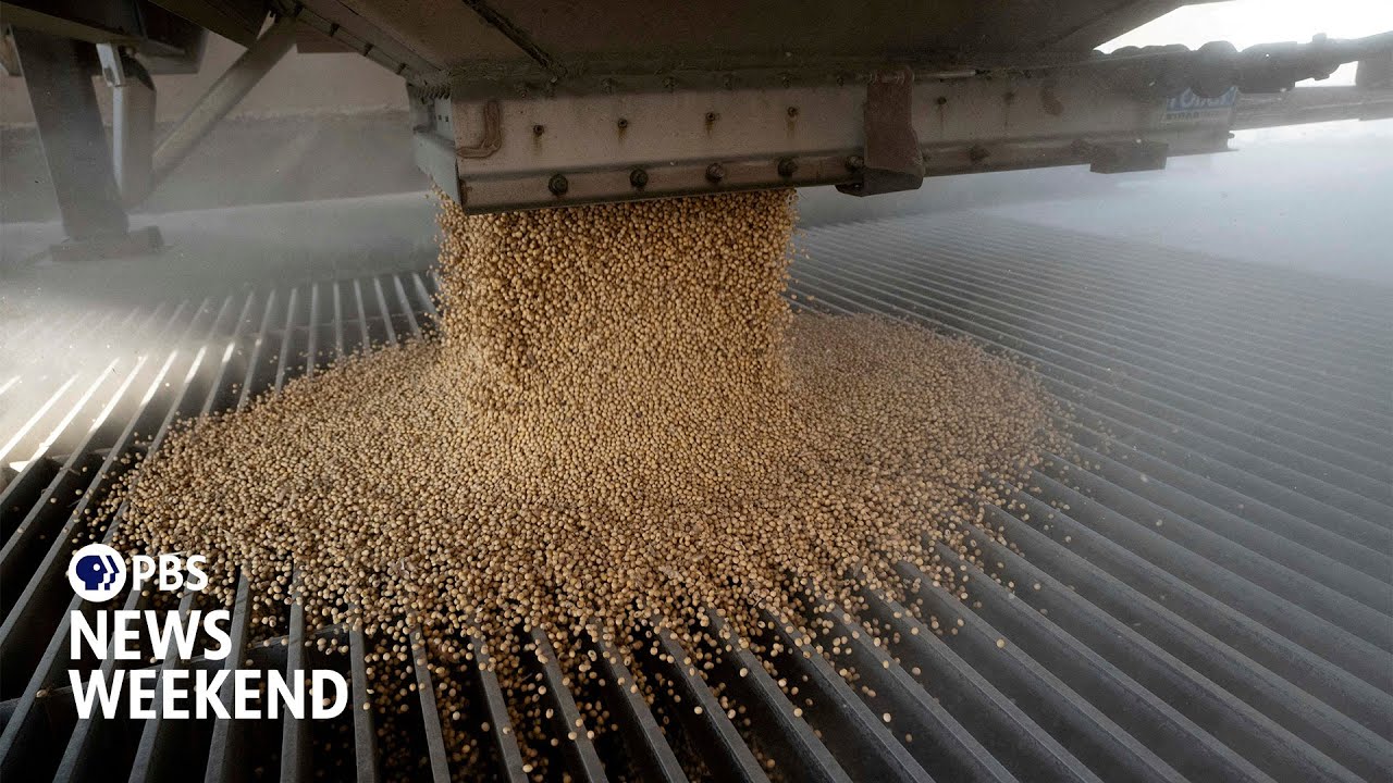 Minnesota farmers struggle to stay afloat as China boycotts U.S. soybeans