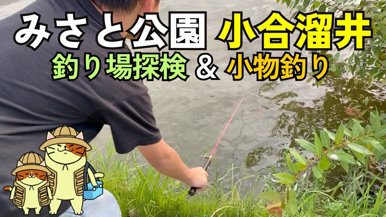 みさと公園「小合溜井（こあいためい）」釣り場探検＆小物釣り|  真夏の夕方に親子で楽しめるお手軽レジャースポット