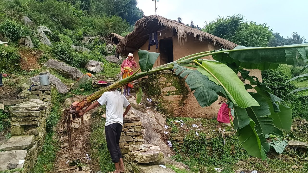 Nepali Mountain village life into the Rainy Season | Daily Activities of Rural village life in Nepal