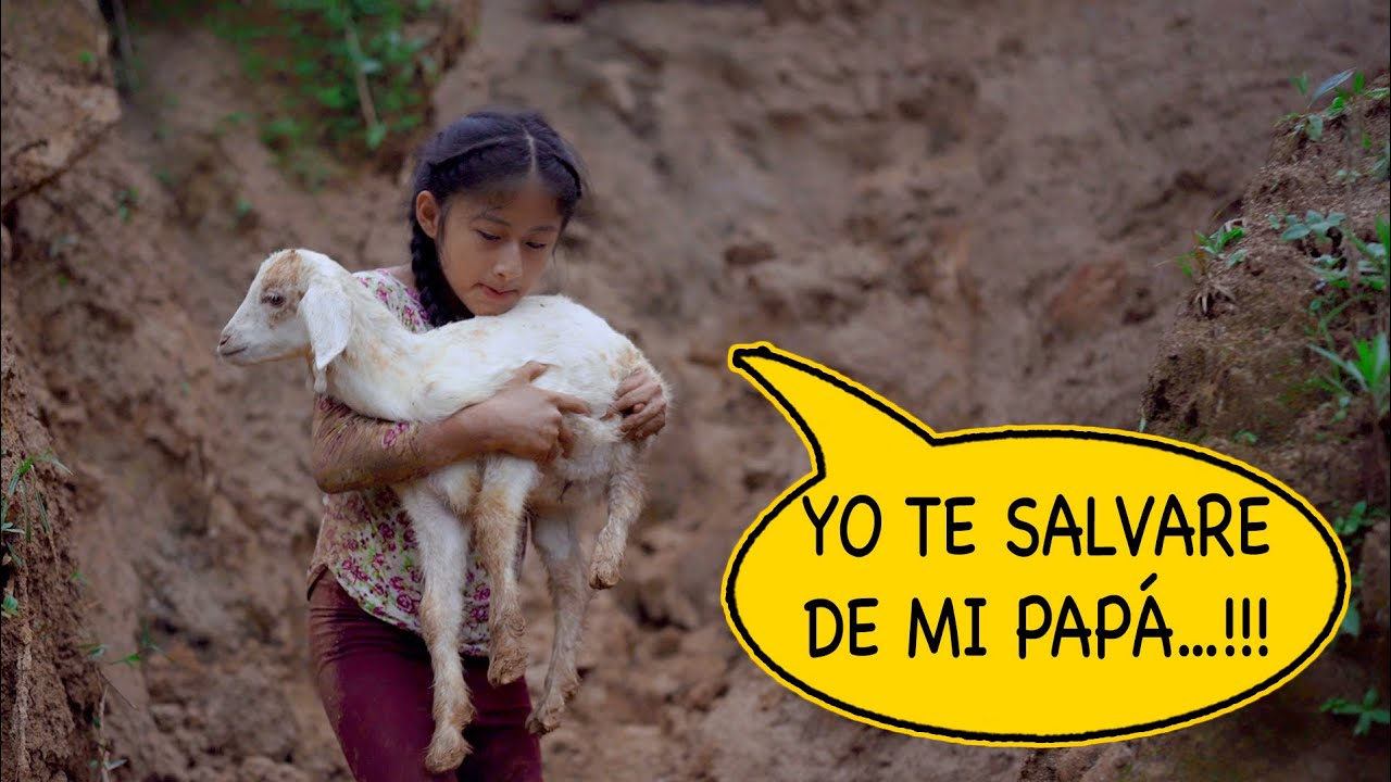 Abandonó la MASCOTA de su hija sin pensar que pasaría esto