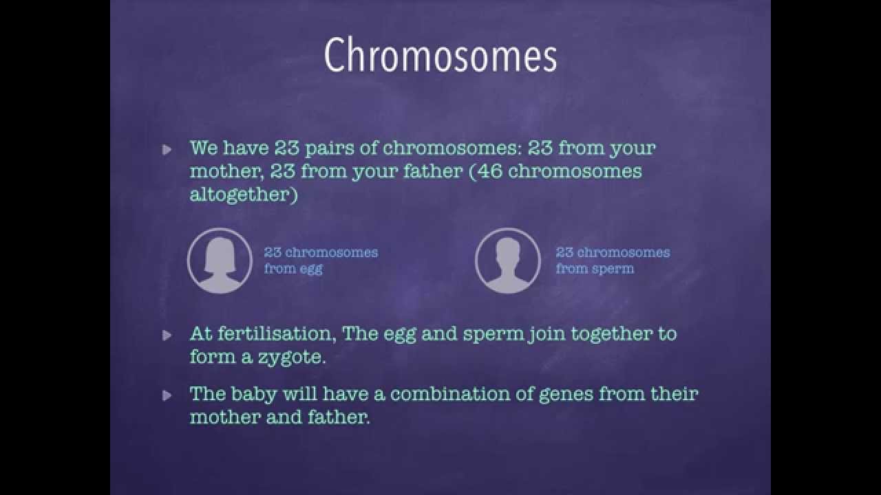 B1 GCSE ocr 21st century science