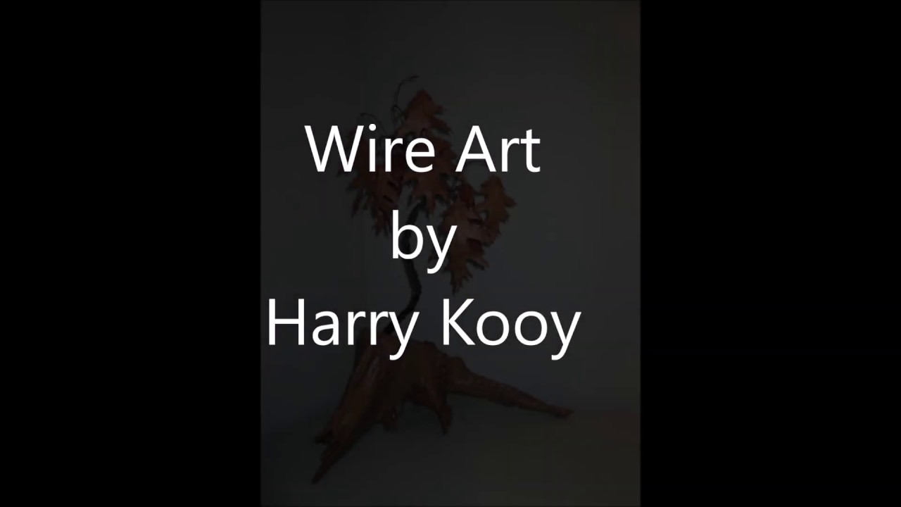 Wire Art by Harry Kooy