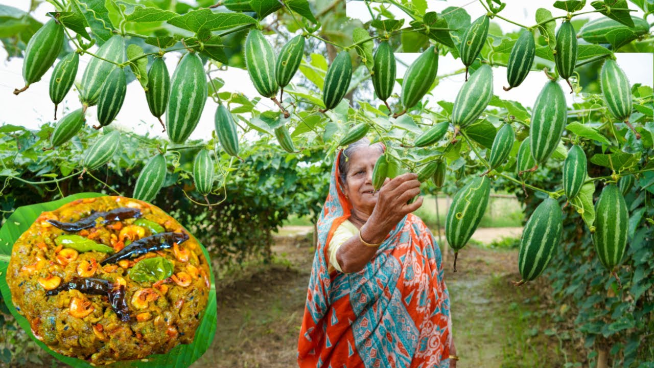 গরম ভাতে পটল চিংড়ির এই ভর্তা থাকলে আর কিছু লাগবেনা |