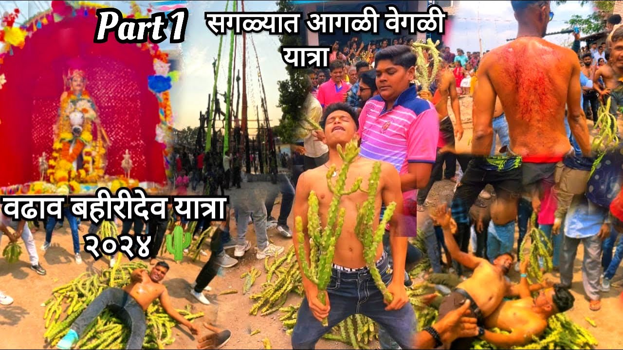 वढाव बहीरीदेव यात्रा 🌵२०२४ || bahiridev yatra Vadhav 2024 🌵|| वेगळीच यात्रा😱😨