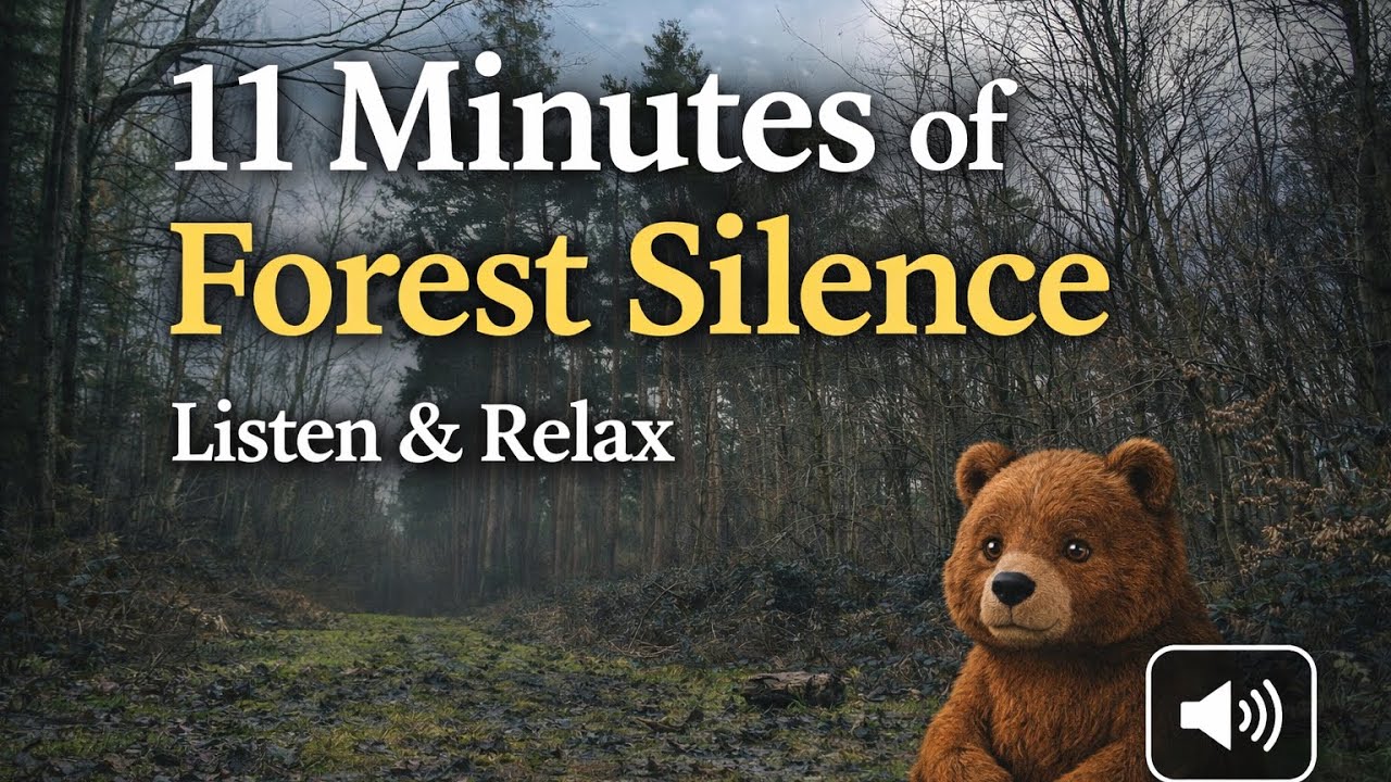 11 Minutes of Pure Forest Sounds 🌲 | Birds & Wind