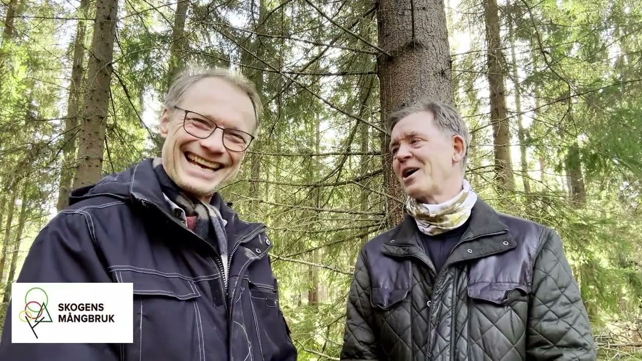Lärdomar ger engagemang i ett förändrat skogsbruk