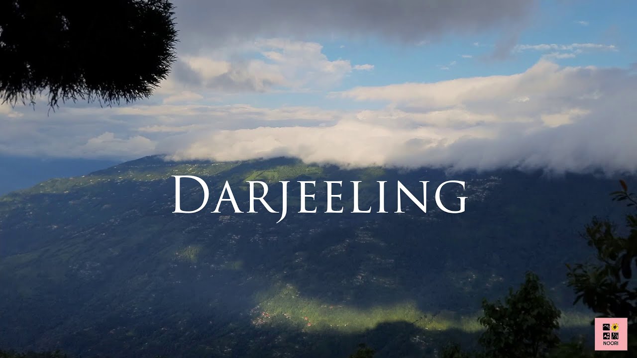 Darjeeling 2025 | Budget Homestay | Cursed Hotel | Informative | Noori