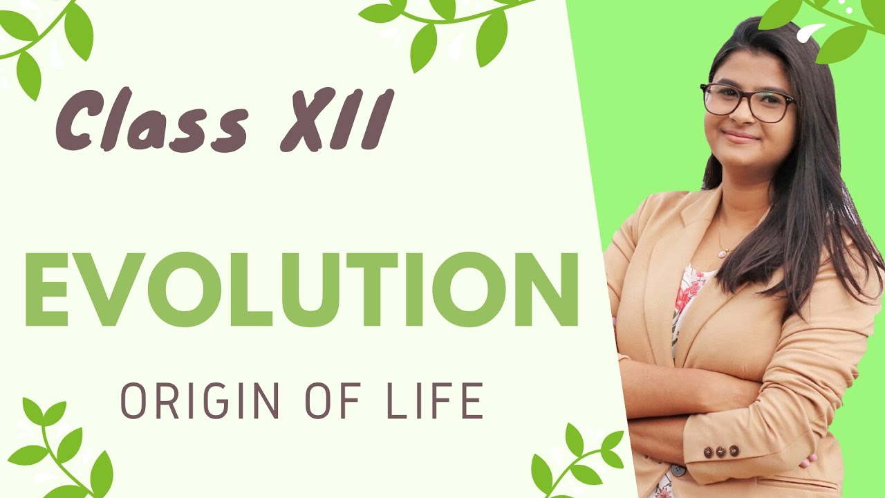 Evolution || Theories of origin of life, Miller's experiment || HINDI (NCERT)