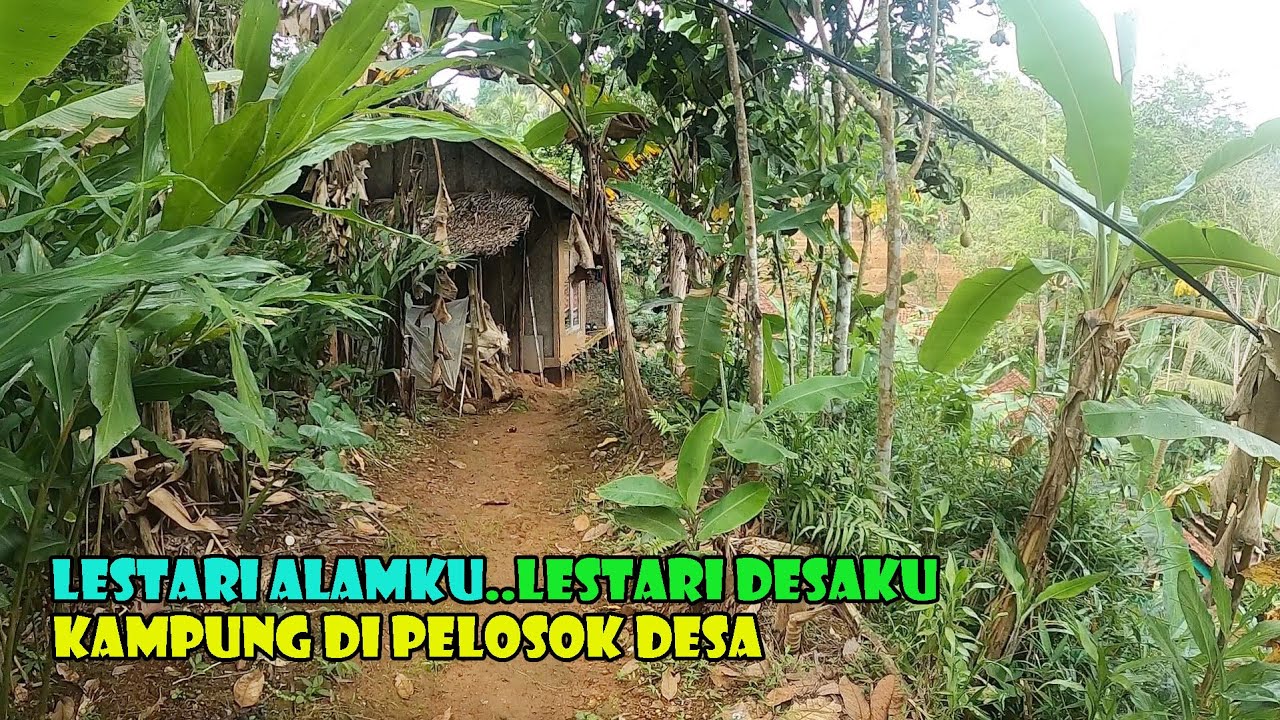 Kampung Pelosok Tasik Malaya, Air Mengalir Dimana Mana..Lestari Alamku..Lestari Desaku..