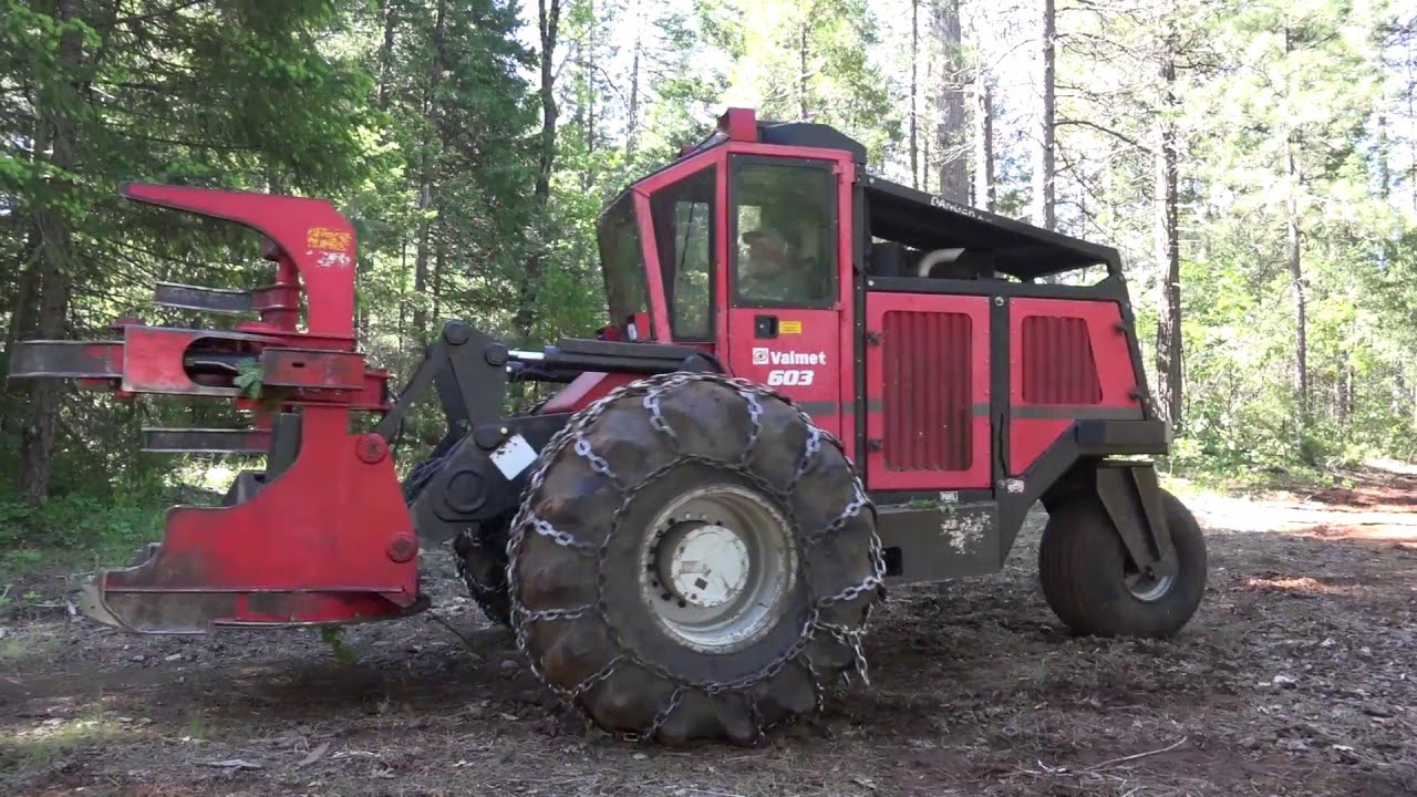 Ride with a Feller Buncher