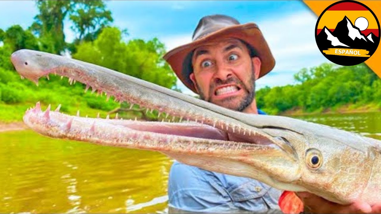 Encontramos y atrapamos un PEZ GAR COCODRILO RARO! | Híbrido increíble en Texas