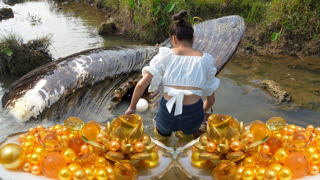🐚👍 The Girl, the Clam, and the Hidden Treasure: A Tale of Curiosity Turned Golden Opportunity
