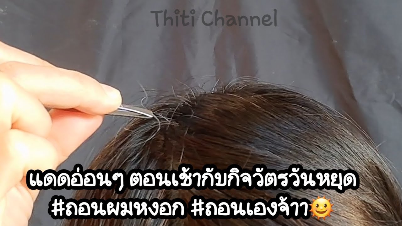 ผมหงอก...งอกใหม่ตลอด..คิดบวกหัวเราจะไม่ล้าน.. แฮร่รร🤗🤗 #ถอนผมหงอก  #ถอนผมหงอกเอง #ผมหงอก #ผมขาว