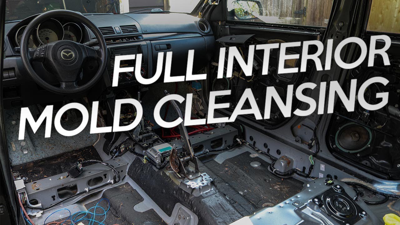 Stripping The $90 Car's SUPER MOLDY Interior 😷 | Mazda 3 Interior Stripping