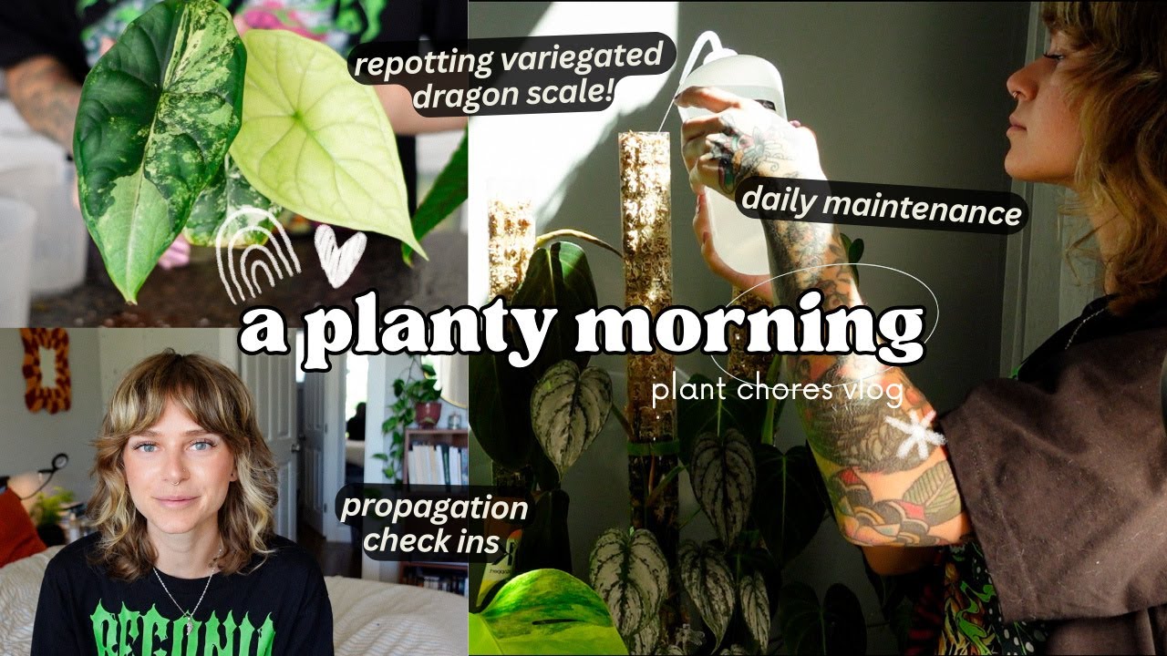 spend a planty morning with me 🌿🌞