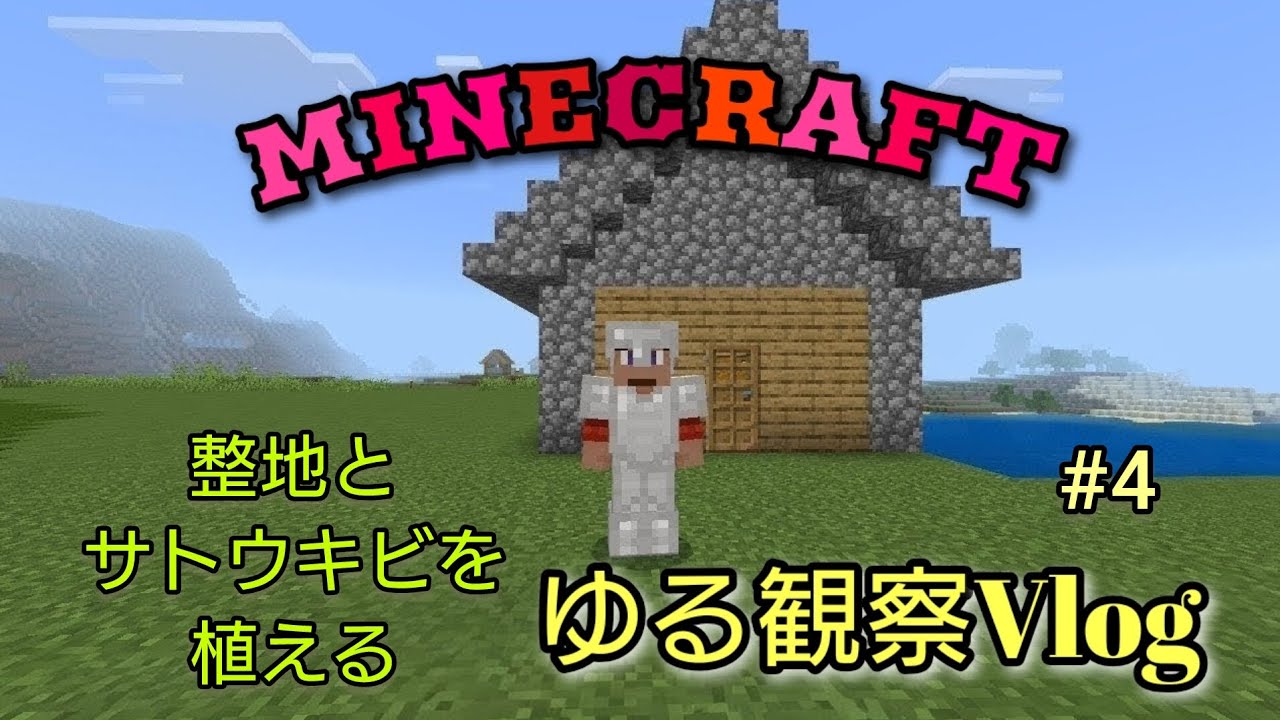 ゆる観察Vlog#4　サトウキビを植える回　#マイクラ #マインクラフト #vlog 