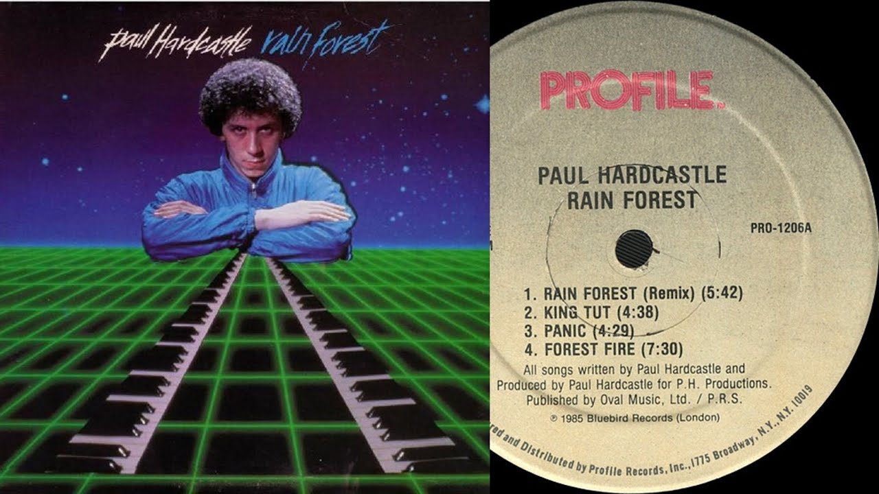 Paul Hardcastle – Rain Forest (Remix)