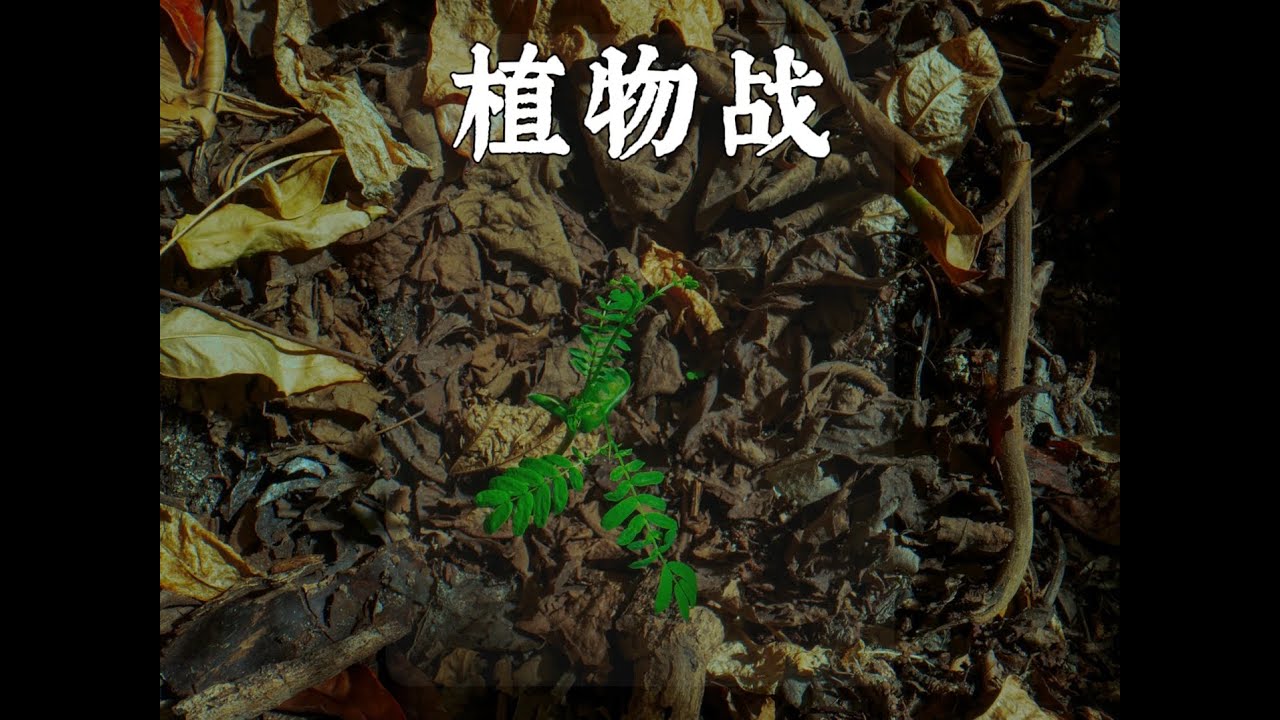 植物之间的厮杀能有多残酷 #神奇大自然 #动物世界 #植物 #抖音精选 #抖音硬核版