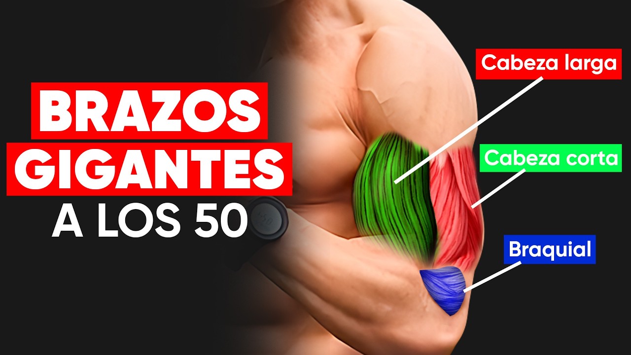 5 Ejercicios SIN PESAS Para Bíceps GIGANTES 💪 (para que se noten en camiseta)