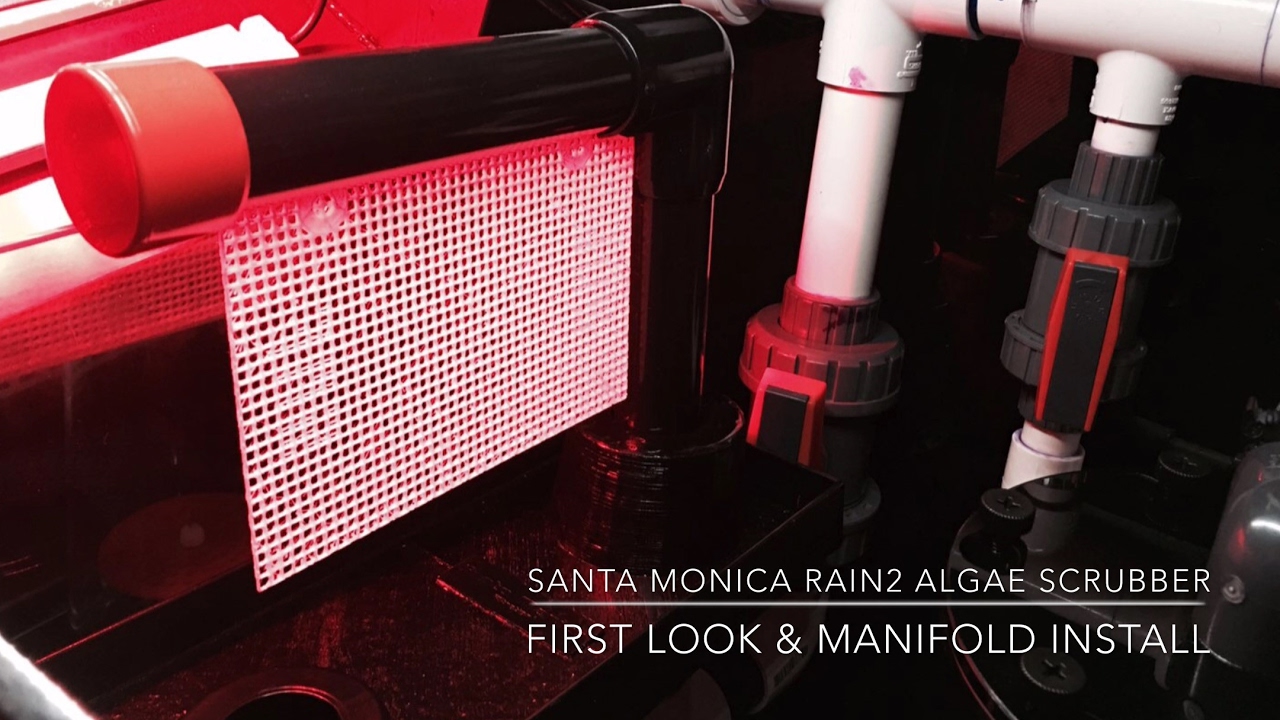 Santa Monica Filtration Rain2 Algae Scrubber | First look & Manifold Mounting - Install