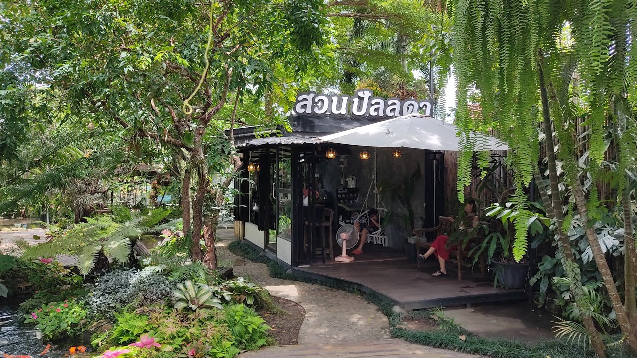 สวนปัลลดา @คาเฟ่เชียงใหม่ ร้านร่มรื่นภายในสวนสับปะรดสีหลากหลายพันธุ์