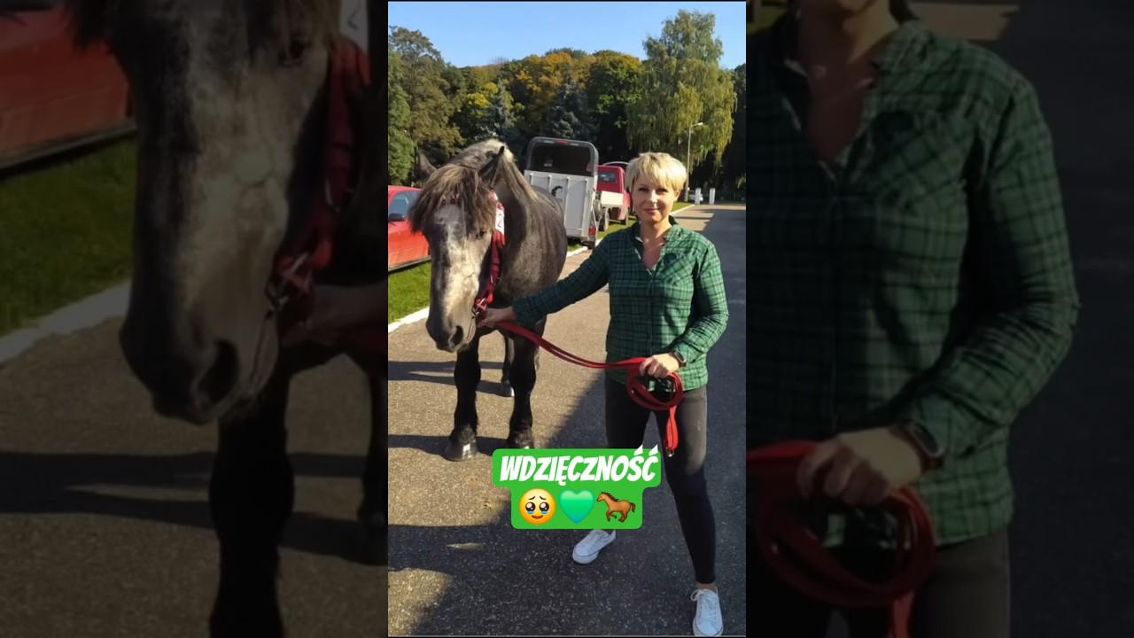 R&oacute;b to, co kochasz 💚🐎🎤 🥹Dziękuję Wojew&oacute;dzki Związek Hodowc&oacute;w Koni w Warszawie za docenienie 😊