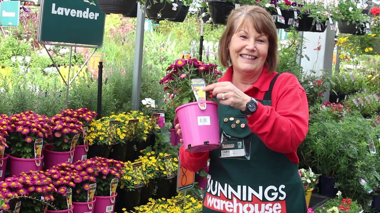 Mother's Day Gifts for Gardeners
