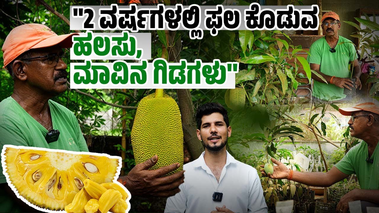 ಜಗತ್ತಿನಲ್ಲೇ ನಂಬರ್ 1 ಸ್ಥಾನದಲ್ಲಿರುವ ಹಲಸು ಬೆಳೆದ ಸರ್ವೇಶ್ ರಾವ್ | Jackfruit | Mango | Mangaluru